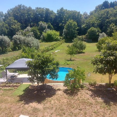 Apartament Casa Abundancia Vila Nova de Poiares Zewnętrze zdjęcie
